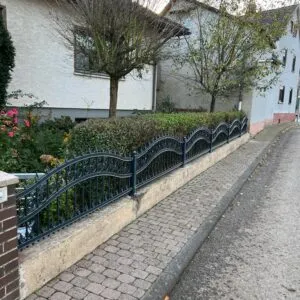Zaun